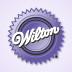 Wilton Cake Ideas & More